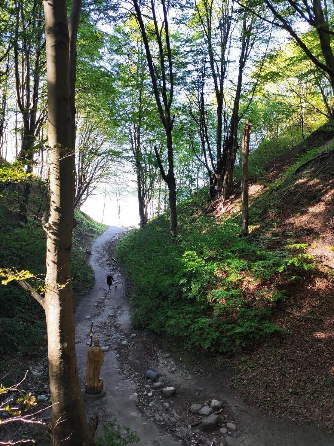 Domki Alefala Jastrzębia Góra Extérieur photo