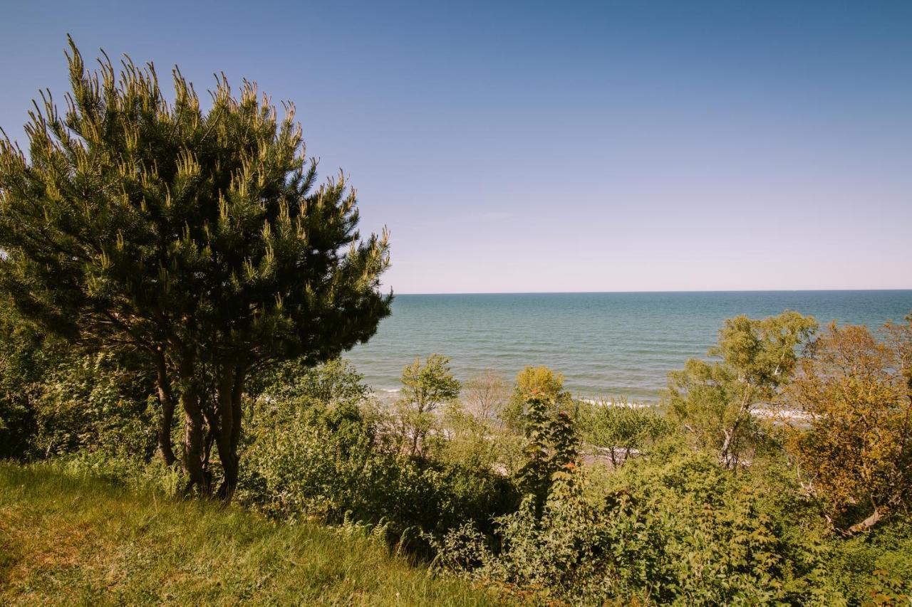 Domki Alefala Jastrzębia Góra Extérieur photo