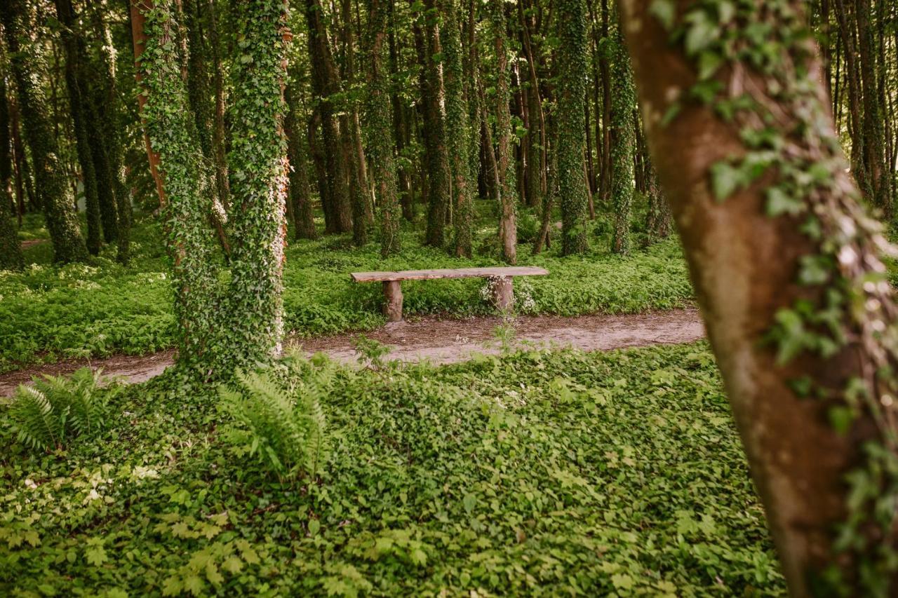 Domki Alefala Jastrzębia Góra Extérieur photo